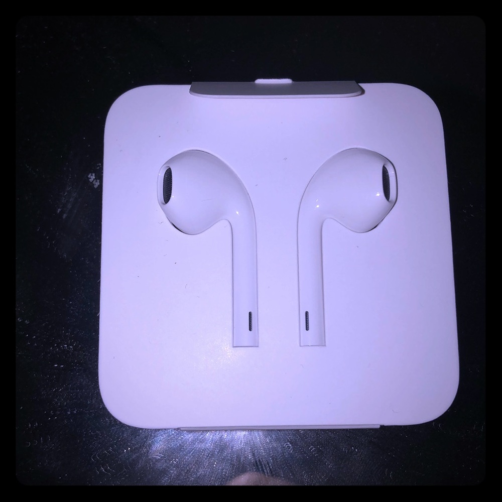 Regular Apple earphones